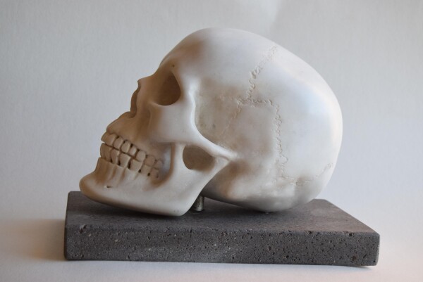 Human Skull - White Carrara marble | Todini- sculture d'arredamento