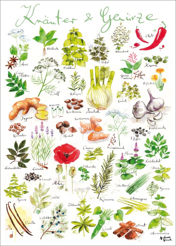 Herbs / spices poster | Human Empire Shop
