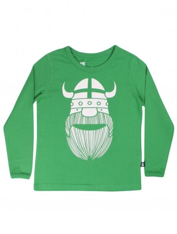 Danefae Frischer Grüne Basic Shirt mit Wiking Erik | IsaDisaKids